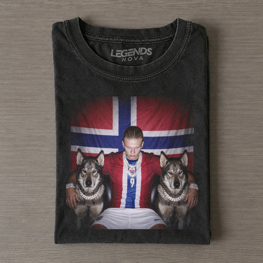 Norway Funny Vintage Tee